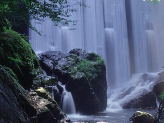 �ˑ����J�̎ʐ^1