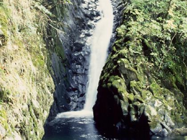 �������˂Ƃ�