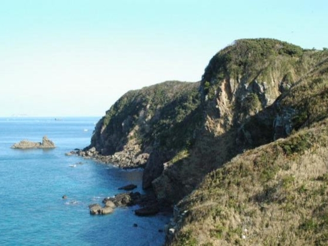 ���R�f�R�̎ʐ^1