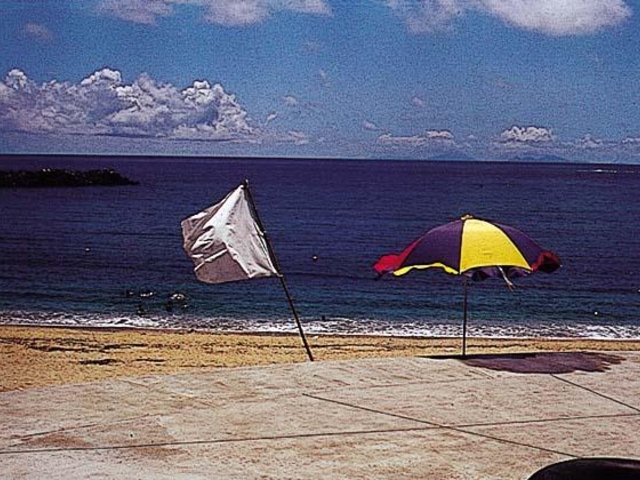 �I���l�̎ʐ^1