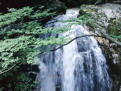 ���c���̑�̎ʐ^1