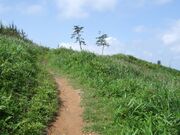 �����������C�݂̎ʐ^1