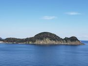 �L�蔼���̎ʐ^1