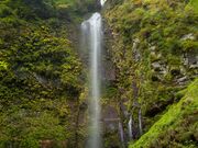 ������̎ʐ^1