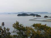 �o�q�Y�̎ʐ^1