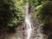 �嗎���̑�̎ʐ^1