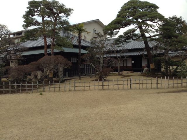 ������뉀