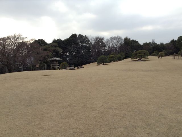 ������뉀