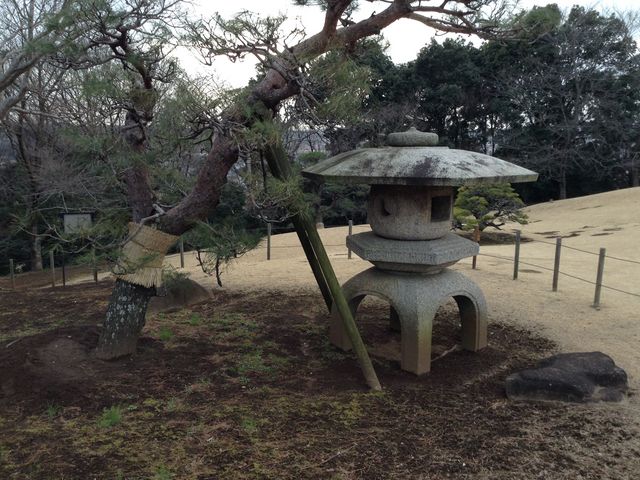 ������뉀