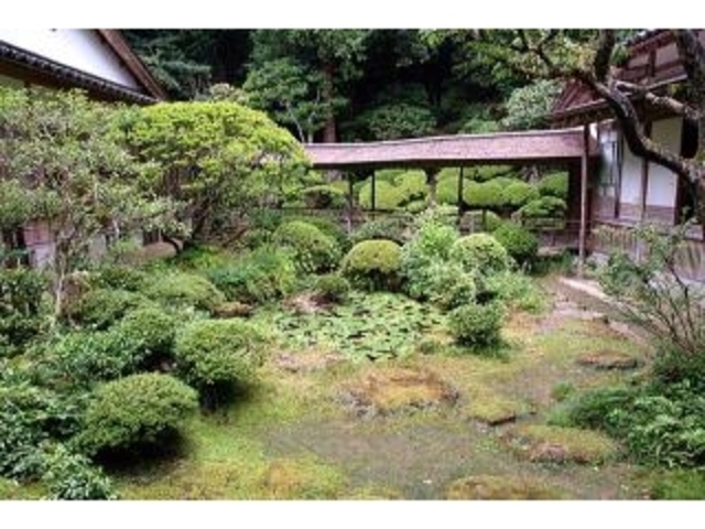 ���v���̒���̎ʐ^1