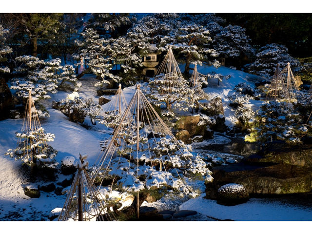 ���l�~�~�W