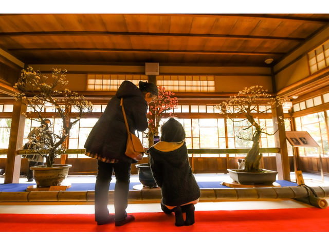 ���l�~�~�W