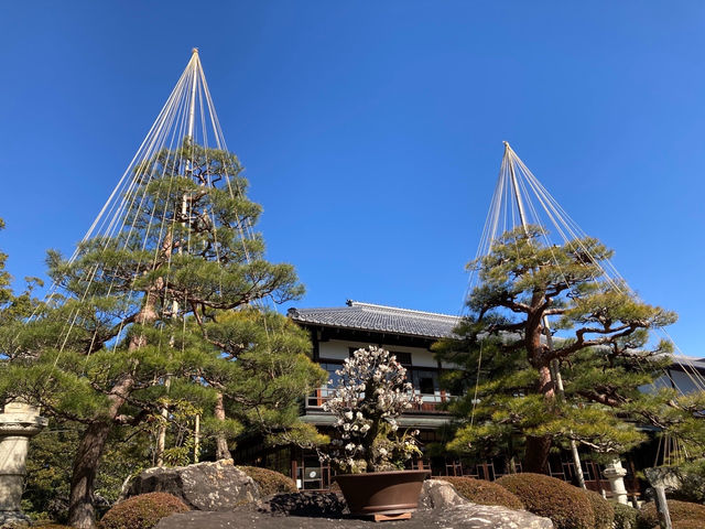 ���l�~�~�W