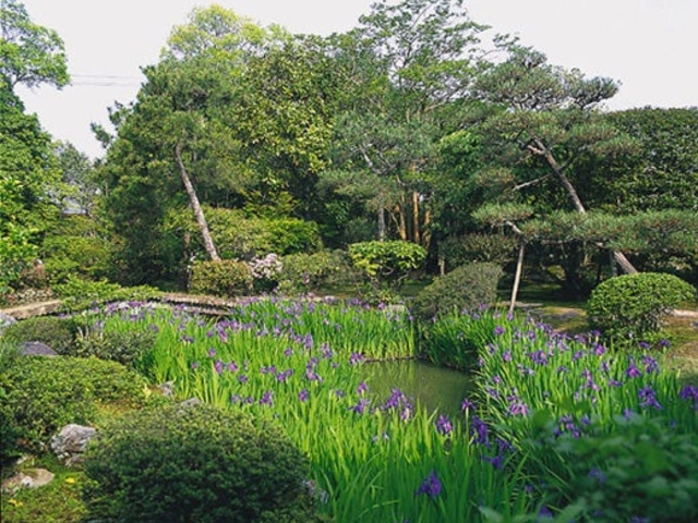 �@�؎��뉀(�����뉀�E�؊y���j