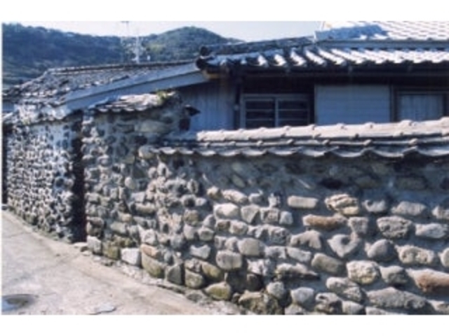 �j���̗���