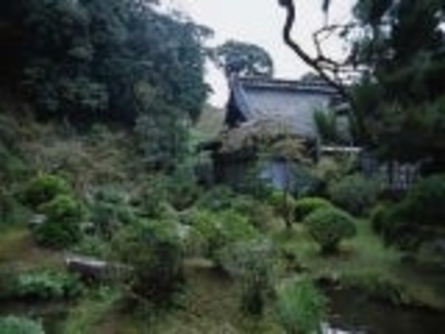 ������M��