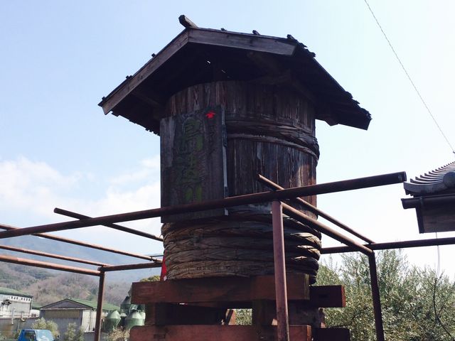 �׉�(�ق�����)_�݂̋��u�n�؎U���H�v