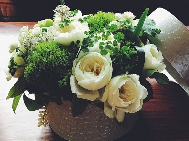 ������������M�o��