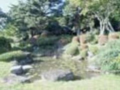 ���_�ْ뉀�̎ʐ^1