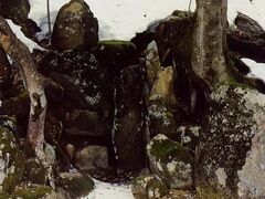 ���剪���뉀�̎ʐ^1