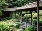 ���v���̒���̎ʐ^3