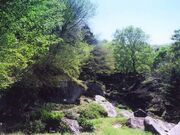 ���_���뉀�̎ʐ^1