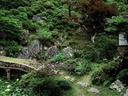 �������뉀�̎ʐ^1