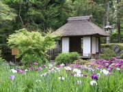 ���ˎ��뉀�̎ʐ^1