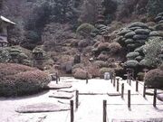 �N���ƒ뉀 ���S�T�H�̎ʐ^3