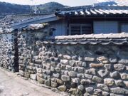 �j���̗����̎ʐ^1