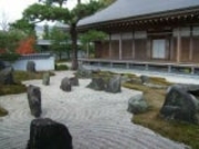 ���z���Ȑ��̒�̎ʐ^1