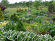 紫竹ガーデンの写真4