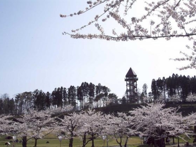 ���c�����t_��{���i���c�����j