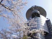 �X�y�[�X�E�J�������̎ʐ^1