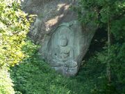 mΕQn啧J̔@`喁R̎ʐ^1