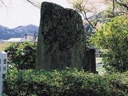 ���얲�����̎ʐ^1