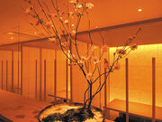 Wa.Bi.Sai �Ԃ����� �Վ��X�̎ʐ^1