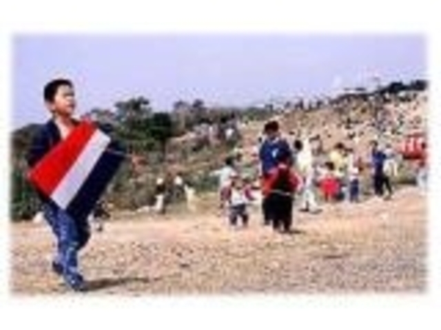 �������̎ʐ^1