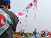 �������̎ʐ^2