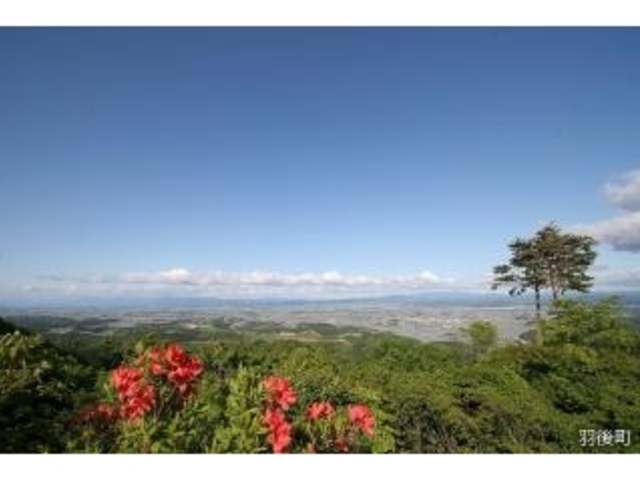 RxeW]iܗ֍≷ƂƂǁ@ʊق݂͂炵j̎ʐ^1