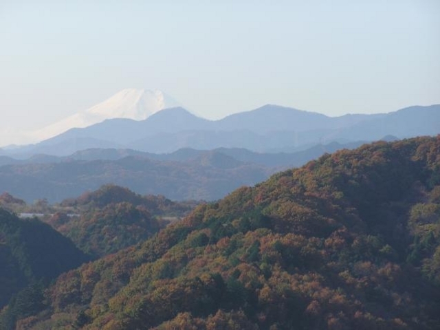 天覧山山頂から富士山を望む_天覧山展望台