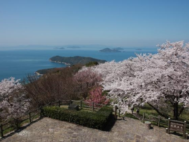 ���_�o�R�W�]��