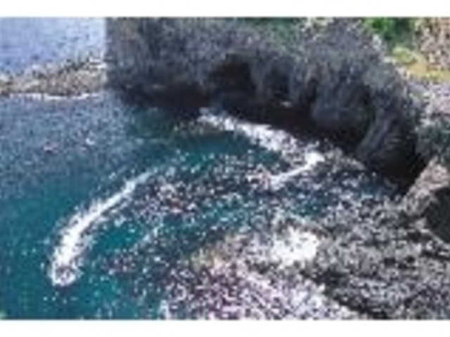 ���c���W�]��