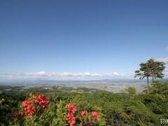 �����R�x�e�W�]���i�ܗ֍≷��Ƃ��Ƃ��ǁ@�ʊق݂͂炵���j�̎ʐ^1