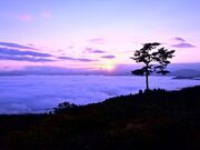 RxeW]iܗ֍≷ƂƂǁ@ʊق݂͂炵j̎ʐ^3