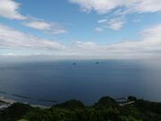 ��⓻�W�]��̎ʐ^1