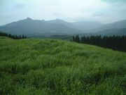 �O�G��̎ʐ^1