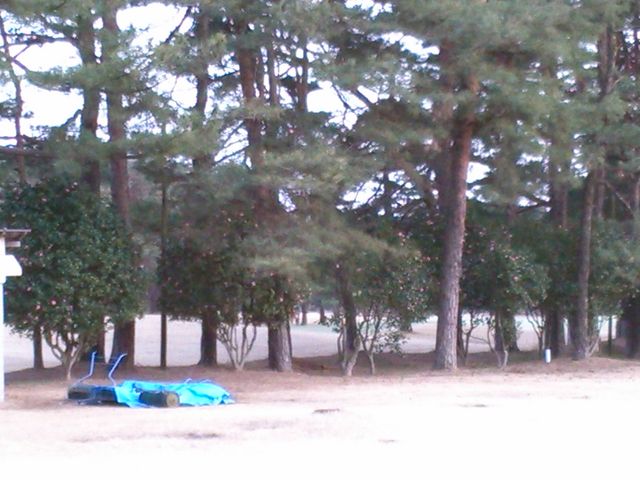 ���S���t��y��