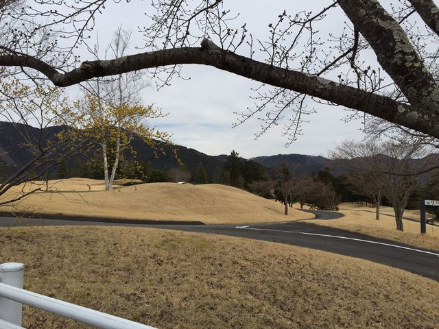 �G�[�X�S���t��y�������R�[�X