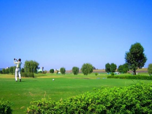 ����s���ԃS���t��